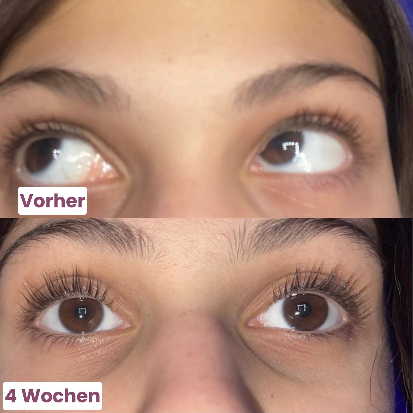 Syncelle Wimpernserum